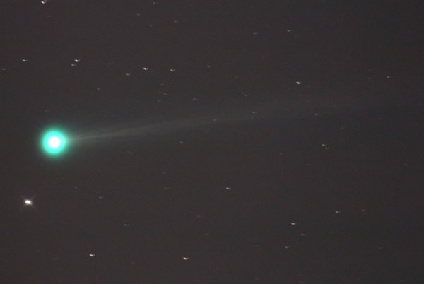 11月14日,美国德克萨斯州