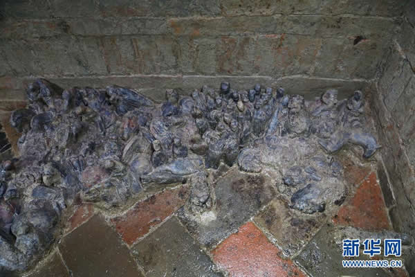 扬州确认发现隋炀帝墓