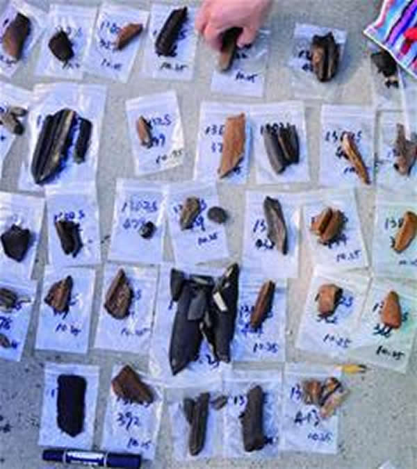 青岛大珠山旧石器遗址野外发掘工作结束