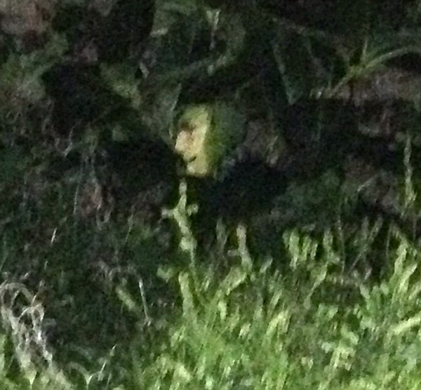 Ӣ���ϸ���԰�з��֡�Ů��������Ҷ