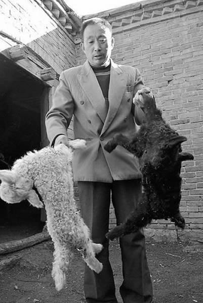 ��ҧ������