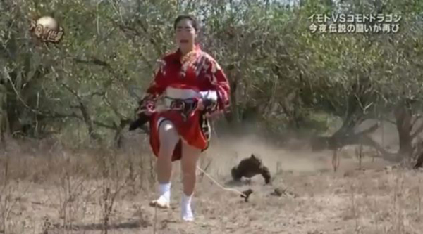 日本女子身后用绳绑肉块引巨蜥追赶