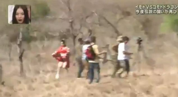 日本女子身后用绳绑肉块引巨蜥追赶