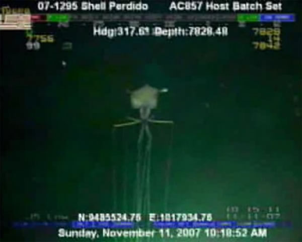 �����������ī������ˮ��2134�״����㵽8�׳���������