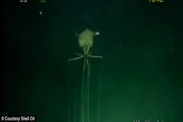 ���������Ĵ��ǳ��Ⱥ����Ͷ�һ�£�����ͨ���������������϶̵ġ��ֱۡ���8���ϳ��Ĵ���