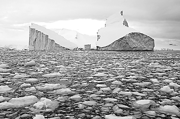 南极冰原含有大量的水体,足以将海平面升高60米。