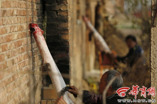 ������Ϊ���������Ϊ����ɱ����Ƥ����Ǯ����������ģ���ͱ�����