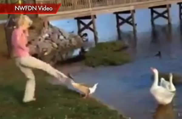 美国女子公园虐待鹅被捕