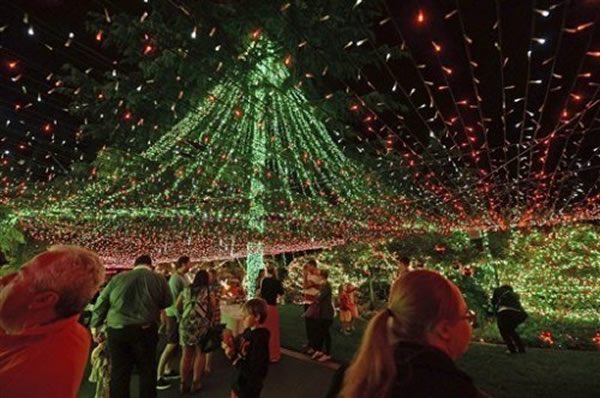 Ĵһҹ50ֻʥڲʵƼ˹¼