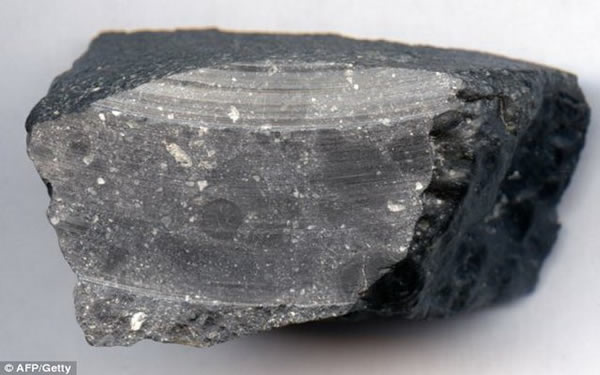 ԶŻʯΪNWA 7533ϵĻǵؿʯ걾