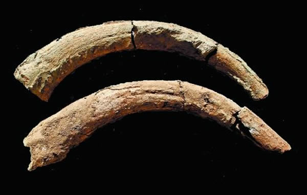 ���ϡ������ˡ���ַ����ԭʼţţ�ǻ�ʯ