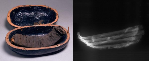 在公元前14世纪,这些牛肋骨被木乃伊化,以提供法老阿蒙霍特普三世在来世享受他们。