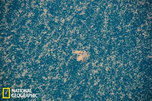 2010年墨西哥湾海水中的“海鼻涕”