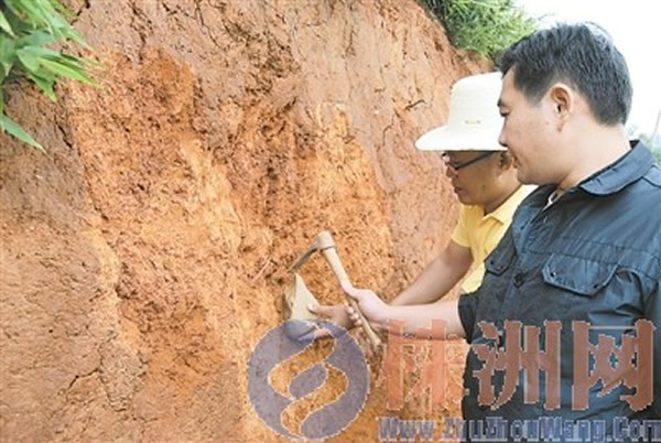 攸县网岭船形坡旧石器出土现场