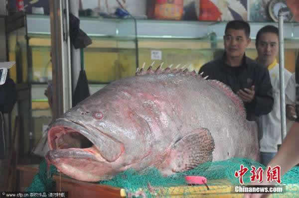 ���������ڱ����庣������һ��105���������