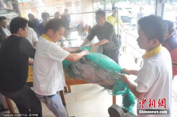 ���������ڱ����庣������һ��105���������