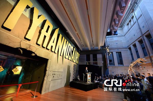 澳大利亚国家博物馆举办为期8个月的中国霸王龙化石展