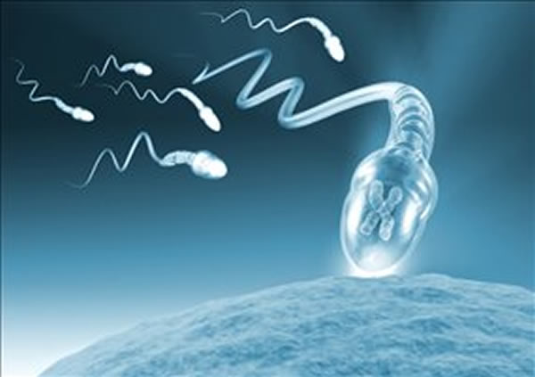 ��С���з��ֿ��ܵ����Ա��аб�