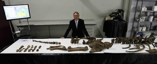 阿拉贡自治区发现欧洲最完整装甲恐龙“结节龙”骨架化石