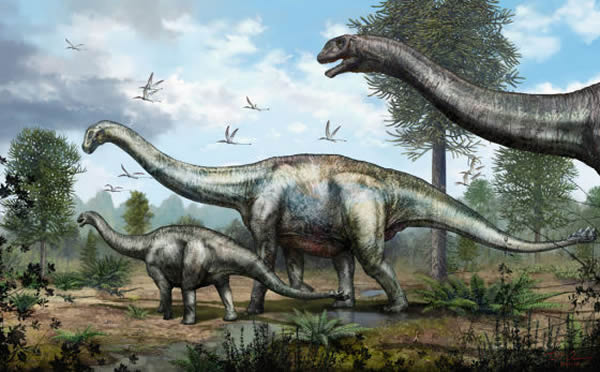 中国云南禄丰地区发现一种基干真蜥脚类恐龙