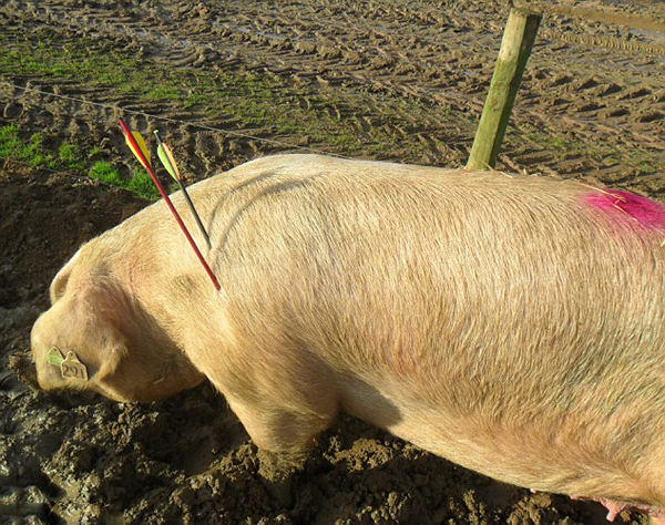 Ӣ������ĸ����͵�����ù�������