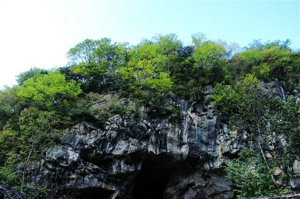 湖南省道县乐福堂乡福岩洞出土5枚古人类牙齿和大的哺乳动物化石