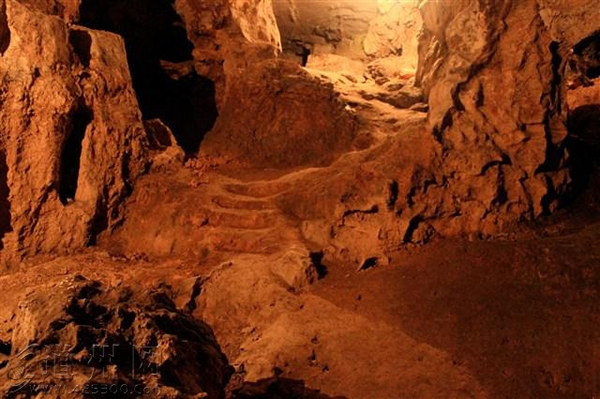 湖南省道县乐福堂乡福岩洞出土5枚古人类牙齿和大的哺乳动物化石