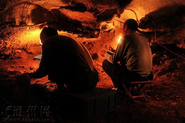 湖南省道县乐福堂乡福岩洞出土5枚古人类牙齿和大的哺乳动物化石