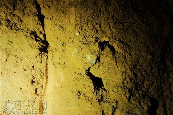 湖南省道县乐福堂乡福岩洞出土5枚古人类牙齿和大的哺乳动物化石