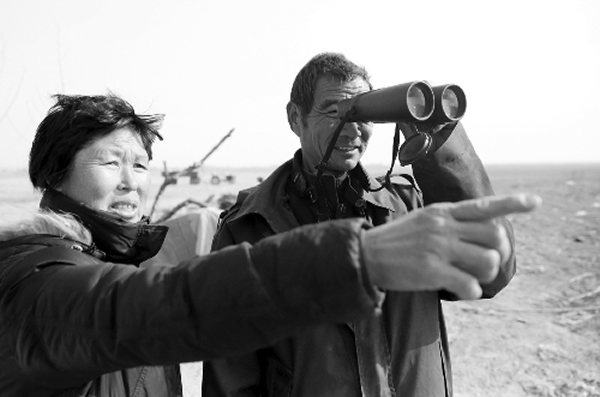 李合法夫妇在观察国家一级保护动物大鸨