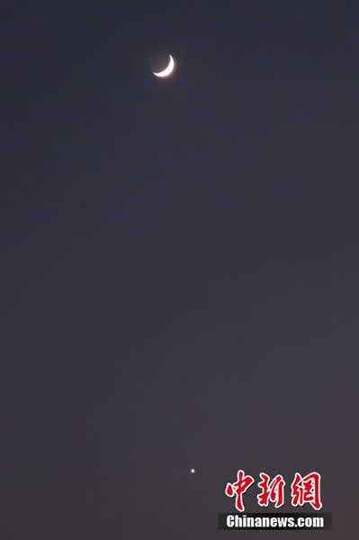 ���ǰ�������