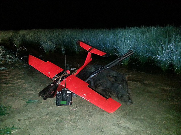 �������˽�ң�طɻ�6���²���300ͷҰ��