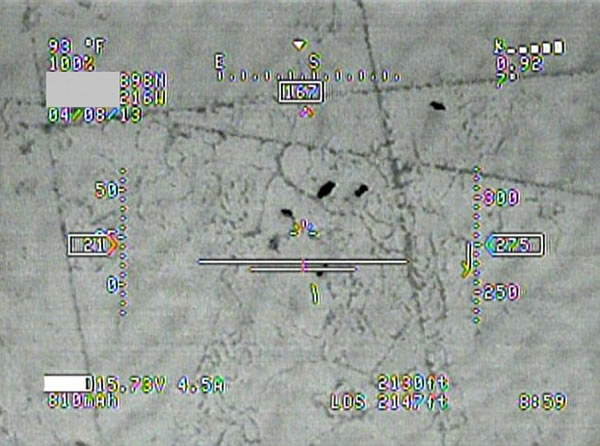 �������˽�ң�طɻ�6���²���300ͷҰ��