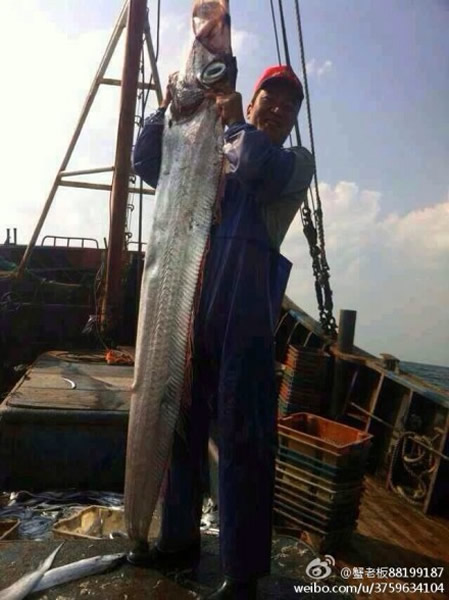 �������򲶻�һ����234���׳������