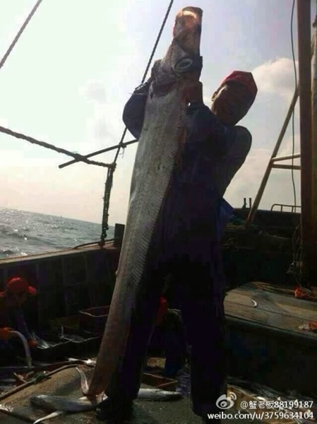 �������򲶻�һ����234���׳������