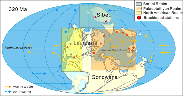 ��ʯ̿������ȫ���������ѭ��ģʽ�Լ����㶯�����