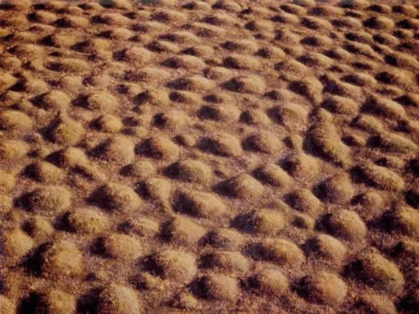 оֵ쳣󲢷ǹŷأڼʱﴴġ