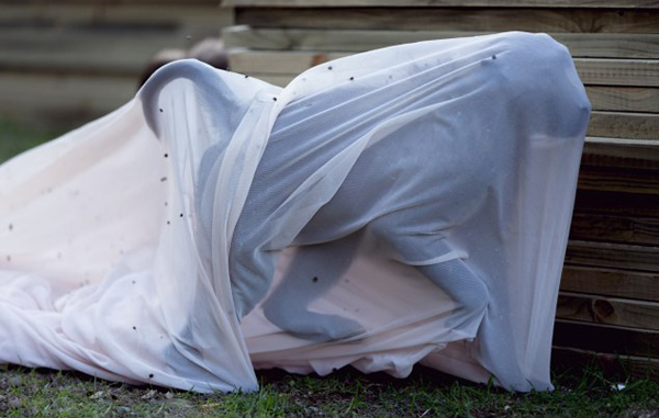 南非一户人家来了一群“小偷”狒狒