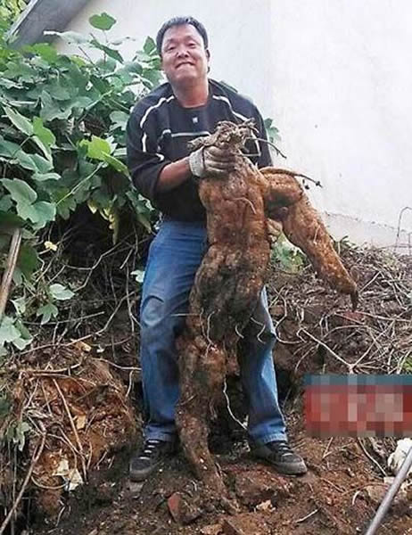 ����һ�����˵��ڳ���Լ1.3�׾��͸��