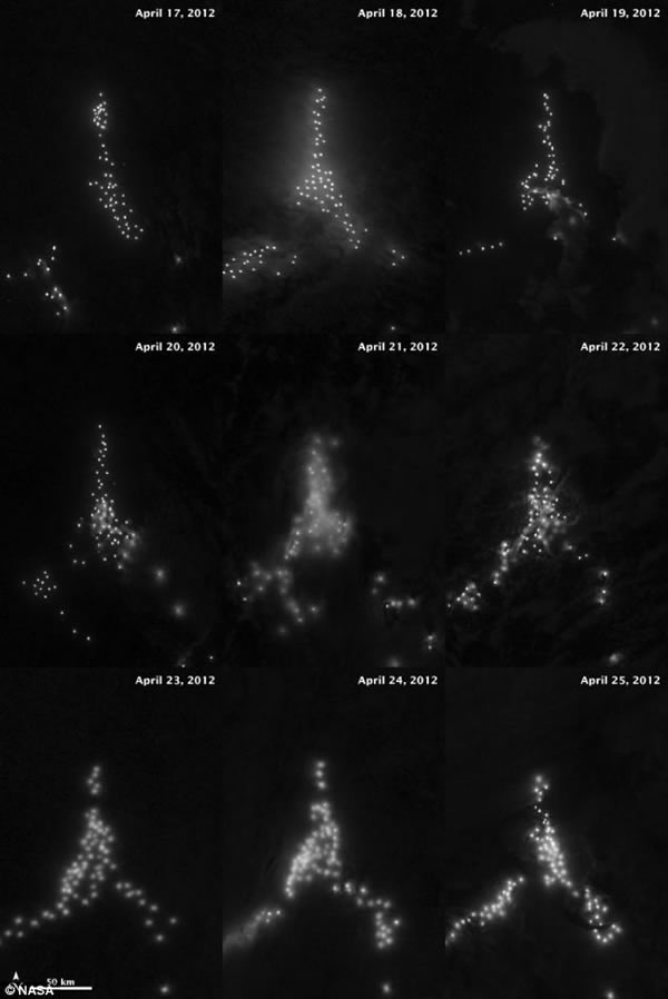 ��ͼ��ʾ�ڰ���͢��������Ⱥ��֮���ܼ��Ĳ�����Ϊ