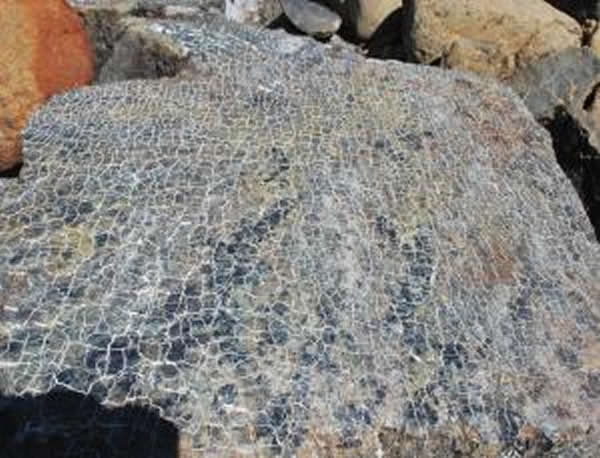 �������19��΢����