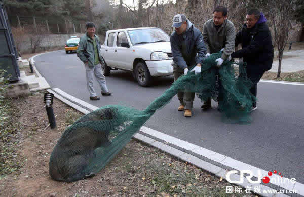 Ұ����������������������ɽׯ��8���Ʒ�