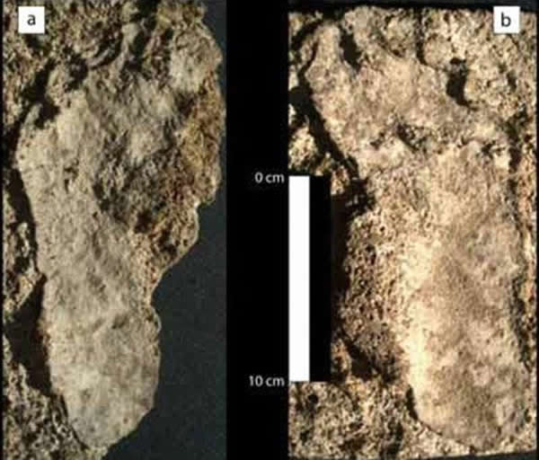 ī���緢�ֱ��������������ӡ��ʯ