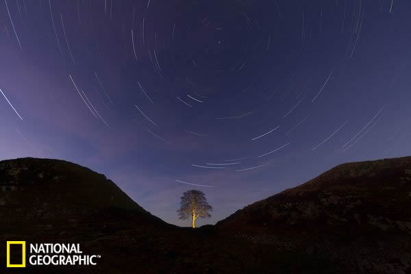 ŷİ칫԰ΪǰṩԶȾ