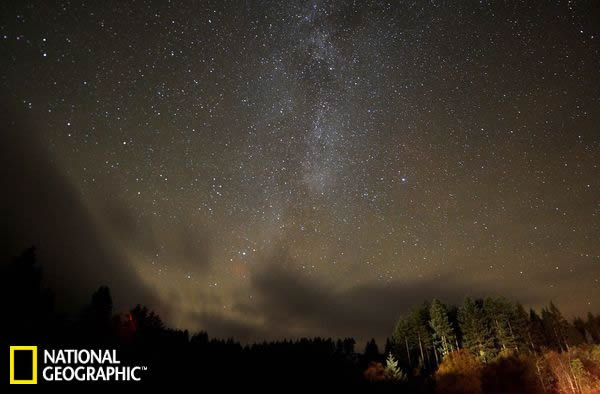 ŷİ칫԰ΪǰṩԶȾ