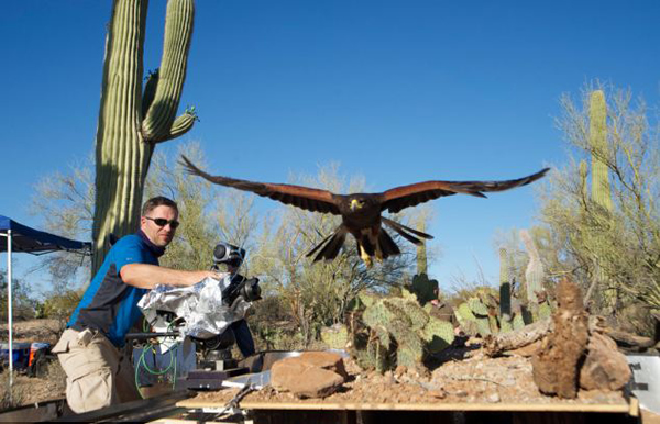 英国BBC自然节目《隐藏的王国》被质疑造假