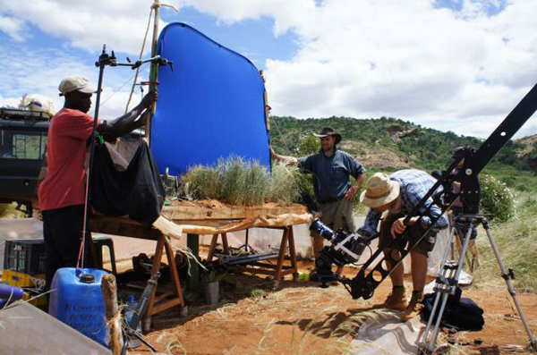 英国BBC自然节目《隐藏的王国》被质疑造假