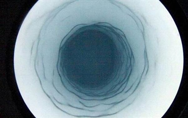 南极冰原下方的惠兰斯湖发现古老的化能自养型微生物