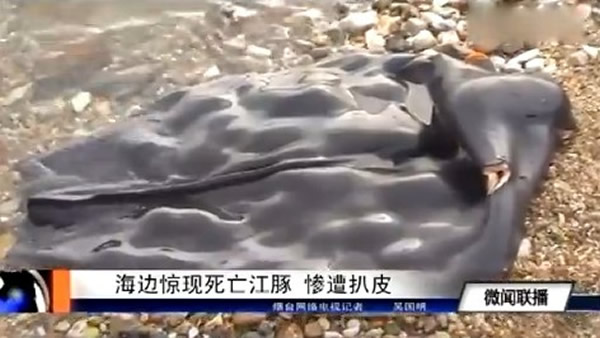 ɽ����̨���߷��֡����ࡹʬ�壬���౻�Ϳ�ʣһ��Ƥ