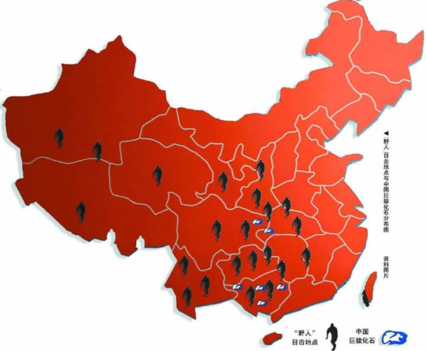 最具有说服力的或是“野人”毛发